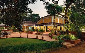 Granpa'S Inn Hotel Bougainvillea